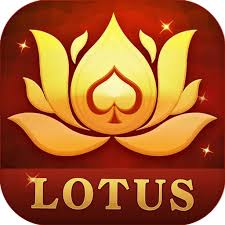 royal rummy app download download